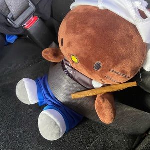 Meet your Posher, Yodaa